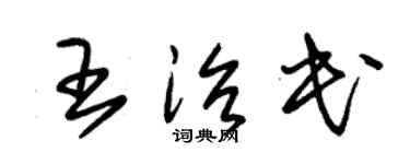 朱锡荣王治民草书个性签名怎么写