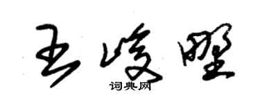 朱锡荣王峻野草书个性签名怎么写