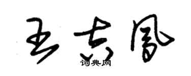 朱锡荣王吉凤草书个性签名怎么写