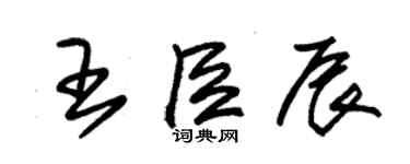 朱锡荣王臣辰草书个性签名怎么写