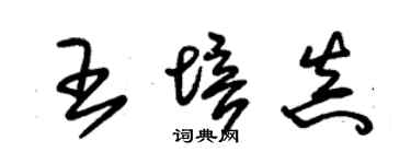 朱锡荣王培真草书个性签名怎么写