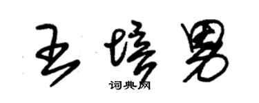 朱锡荣王培男草书个性签名怎么写