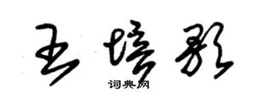 朱锡荣王培歌草书个性签名怎么写