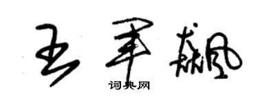 朱锡荣王军飚草书个性签名怎么写