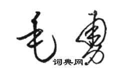 骆恒光毛勇草书个性签名怎么写