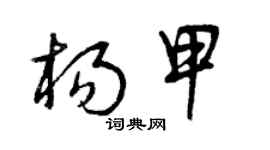 曾庆福杨甲草书个性签名怎么写