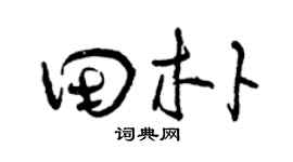 曾庆福田朴草书个性签名怎么写