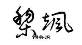 曾庆福黎飒草书个性签名怎么写