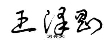 曾庆福王泽刚草书个性签名怎么写