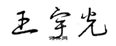 曾庆福王宇光草书个性签名怎么写