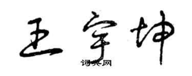 曾庆福王宇坤草书个性签名怎么写