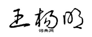 曾庆福王杨明草书个性签名怎么写