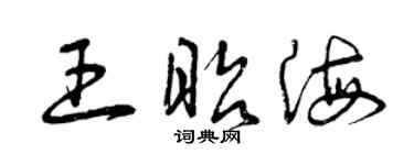 曾庆福王昭海草书个性签名怎么写