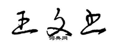 曾庆福王文书草书个性签名怎么写