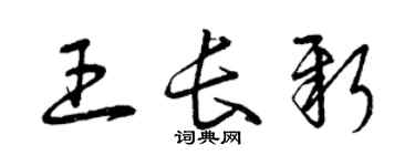 曾庆福王长新草书个性签名怎么写