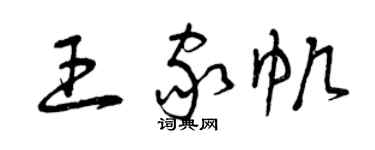 曾庆福王家帆草书个性签名怎么写