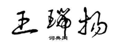 曾庆福王瑞扬草书个性签名怎么写