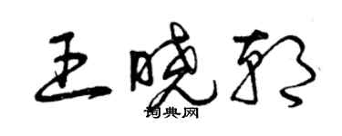 曾庆福王晓朝草书个性签名怎么写