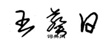 朱锡荣王葵日草书个性签名怎么写