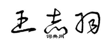 曾庆福王志羽草书个性签名怎么写