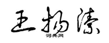 曾庆福王扬洁草书个性签名怎么写