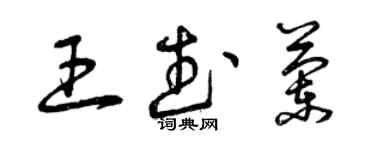 曾庆福王武兰草书个性签名怎么写