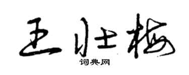 曾庆福王壮梅草书个性签名怎么写