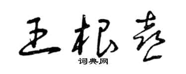 曾庆福王根喜草书个性签名怎么写