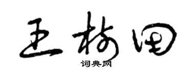 曾庆福王树田草书个性签名怎么写