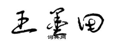 曾庆福王墨田草书个性签名怎么写