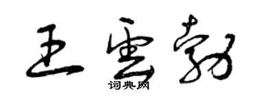 曾庆福王云勃草书个性签名怎么写
