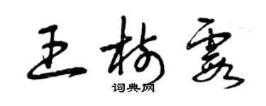 曾庆福王树霞草书个性签名怎么写