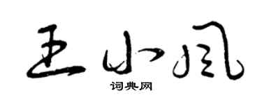 曾庆福王小风草书个性签名怎么写