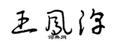 曾庆福王凤淳草书个性签名怎么写