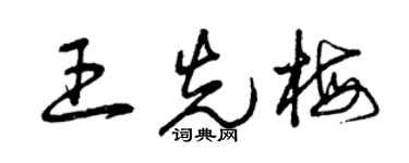 曾庆福王先梅草书个性签名怎么写