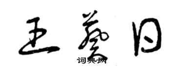 曾庆福王葵日草书个性签名怎么写