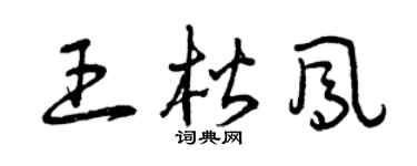 曾庆福王楷凤草书个性签名怎么写