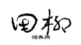 曾庆福田柳草书个性签名怎么写