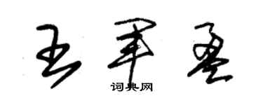 朱锡荣王军盈草书个性签名怎么写