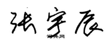 朱锡荣张宇辰草书个性签名怎么写