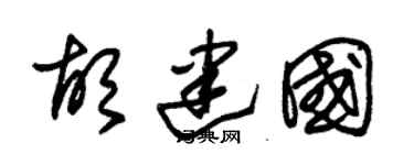 朱锡荣胡建国草书个性签名怎么写