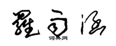 朱锡荣罗雨涵草书个性签名怎么写