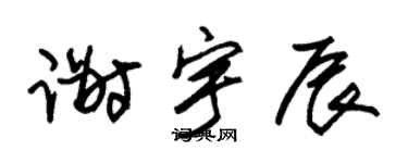 朱锡荣谢宇辰草书个性签名怎么写