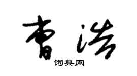 朱锡荣曹浩草书个性签名怎么写
