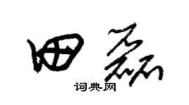 朱锡荣田磊草书个性签名怎么写