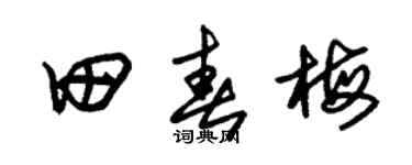 朱锡荣田春梅草书个性签名怎么写