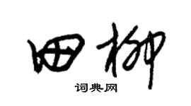 朱锡荣田柳草书个性签名怎么写