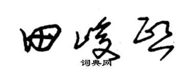 朱锡荣田峻熙草书个性签名怎么写