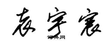 朱锡荣袁宇宸草书个性签名怎么写