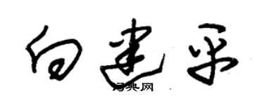 朱锡荣向建平草书个性签名怎么写